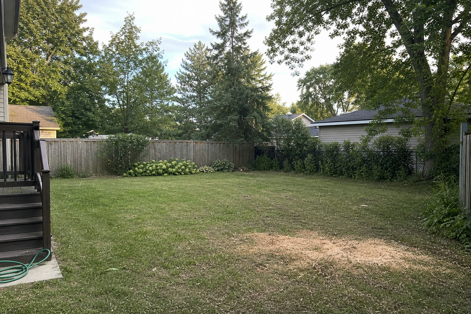 Clean yard after stump removal and grinding